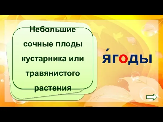 Небольшие сочные плоды кустарника или травянистого растения я́годы