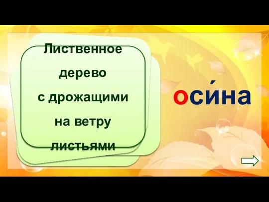 Лиственное дерево с дрожащими на ветру листьями оси́на