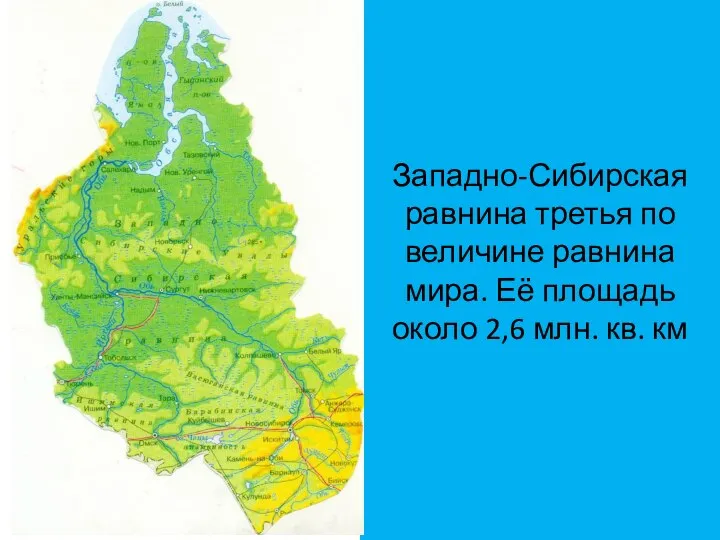 Западно-Сибирская равнина третья по величине равнина мира. Её площадь около 2,6 млн. кв. км