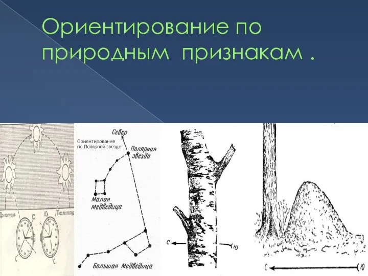 Ориентирование по природным признакам .