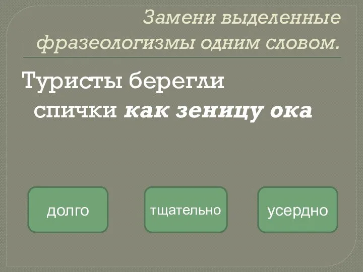 Замени выделенные фразеологизмы одним словом. Туристы берегли спички как зеницу ока тщательно долго усердно