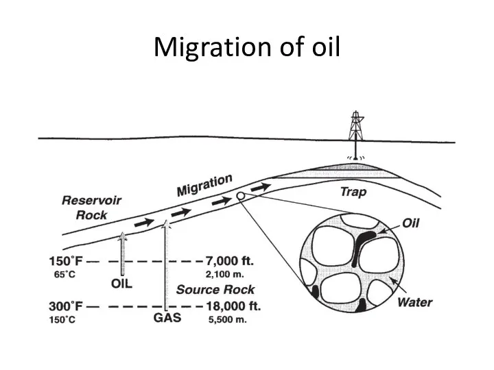 Migration of oil