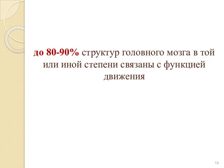 до 80-90% структур головного мозга в той или иной степени связаны с функцией движения