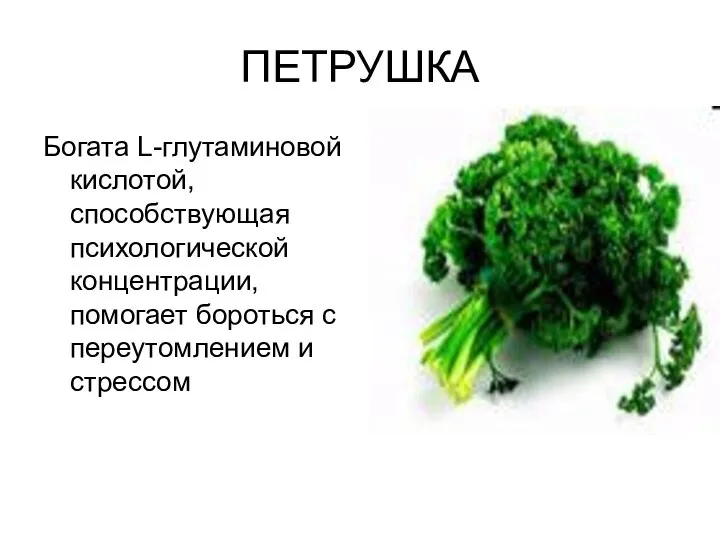 ПЕТРУШКА Богата L-глутаминовой кислотой, способствующая психологической концентрации, помогает бороться с переутомлением и стрессом