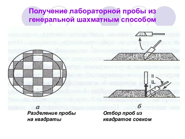 Получение лабораторной пробы из генеральной шахматным способом Разделение пробы на квадраты Отбор проб из квадратов совком