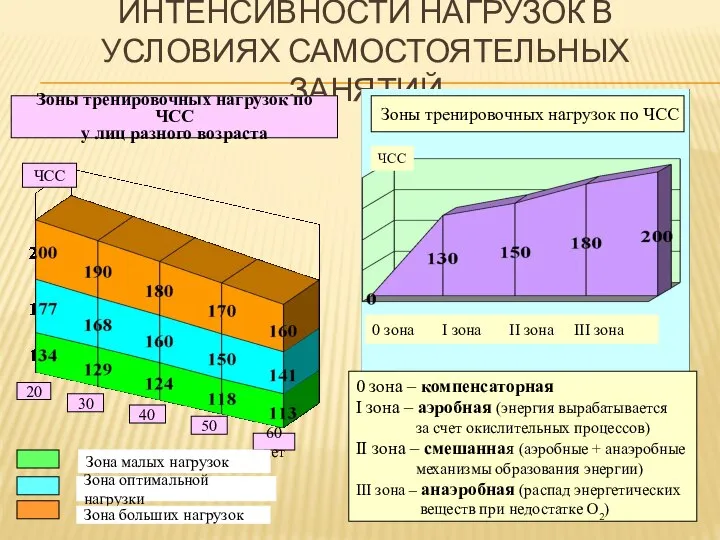 ИНТЕНСИВНОСТИ НАГРУЗОК В УСЛОВИЯХ САМОСТОЯТЕЛЬНЫХ ЗАНЯТИЙ Зоны тренировочных нагрузок по ЧСС