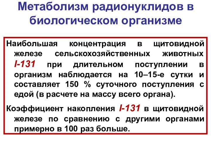 Метаболизм радионуклидов в биологическом организме Наибольшая концентрация в щитовидной железе сельскохозяйственных