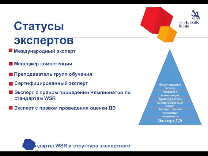 Статусы экспертов Стандарты WSR и структура экспертного сообщества Эксперт с правом