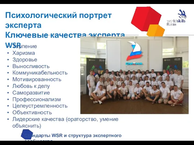 Психологический портрет эксперта Ключевые качества эксперта WSR Стандарты WSR и структура