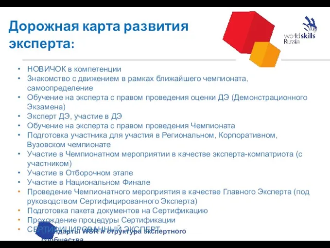 Дорожная карта развития эксперта: Стандарты WSR и структура экспертного сообщества НОВИЧОК