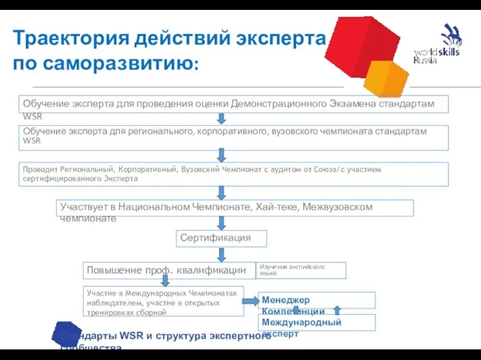 Траектория действий эксперта по саморазвитию: Стандарты WSR и структура экспертного сообщества