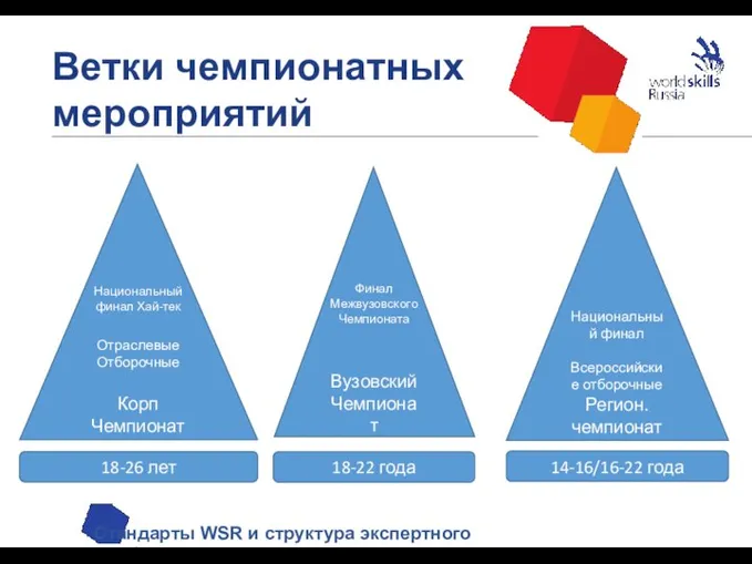 Ветки чемпионатных мероприятий Стандарты WSR и структура экспертного сообщества Национальный финал