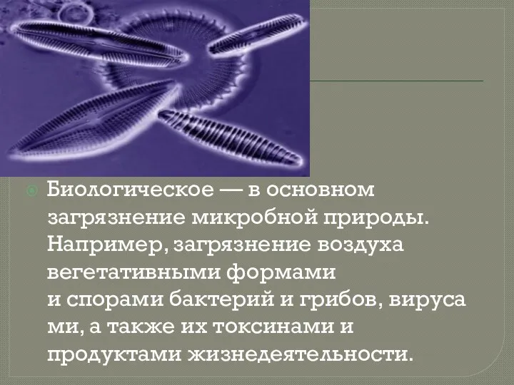 Биологическое — в основном загрязнение микробной природы. Например, загрязнение воздуха вегетативными