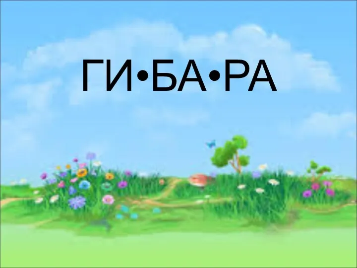 ГИ•БА•РА