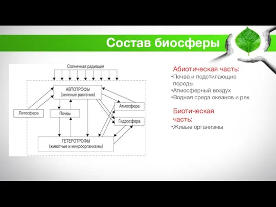 Состав биосферы Абиотическая часть: Почва и подстилающие породы Атмосферный воздух Водная