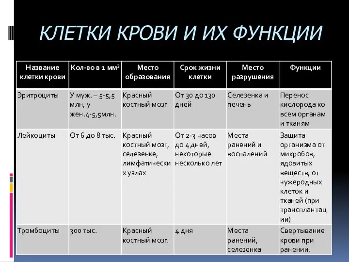 КЛЕТКИ КРОВИ И ИХ ФУНКЦИИ