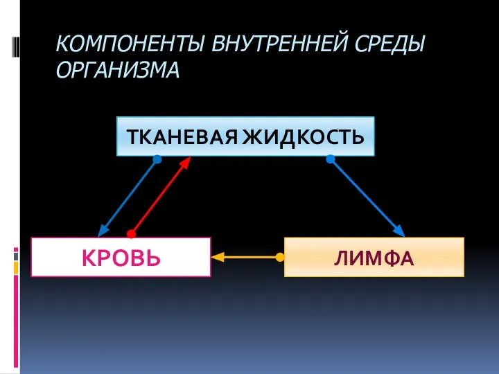 КОМПОНЕНТЫ ВНУТРЕННЕЙ СРЕДЫ ОРГАНИЗМА ТКАНЕВАЯ ЖИДКОСТЬ КРОВЬ ЛИМФА