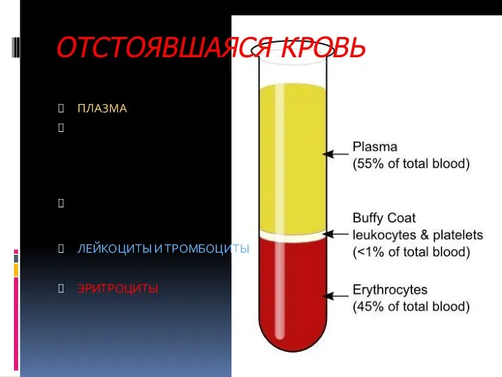 ОТСТОЯВШАЯСЯ КРОВЬ ПЛАЗМА ЛЕЙКОЦИТЫ И ТРОМБОЦИТЫ ЭРИТРОЦИТЫ