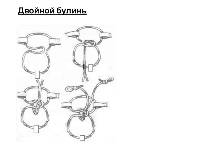 Двойной булинь