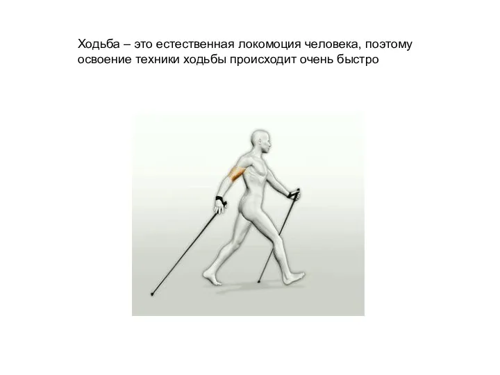 Ходьба – это естественная локомоция человека, поэтому освоение техники ходьбы происходит очень быстро