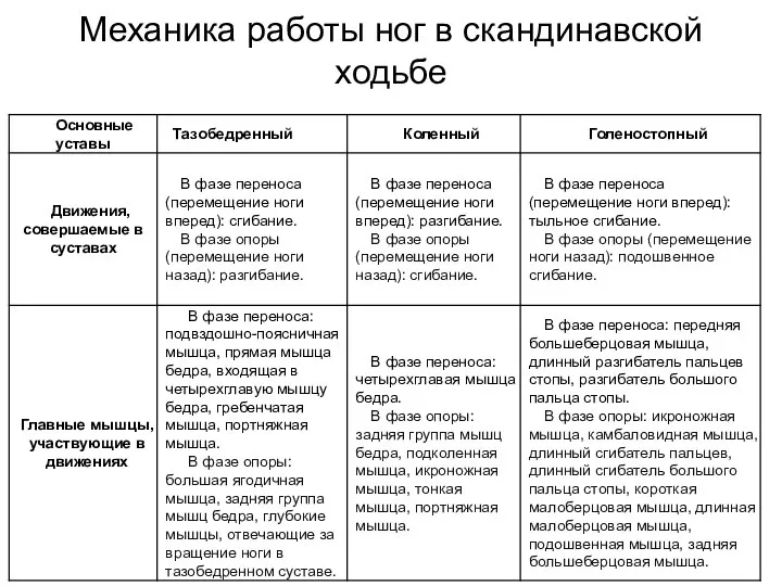 Механика работы ног в скандинавской ходьбе