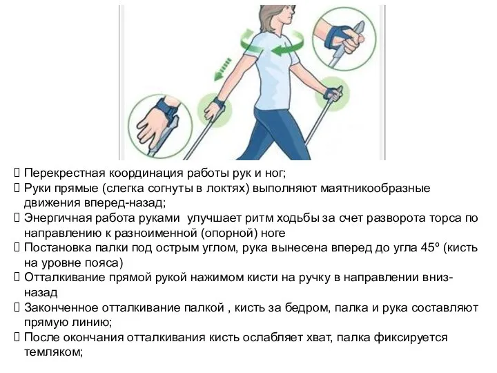 Перекрестная координация работы рук и ног; Руки прямые (слегка согнуты в