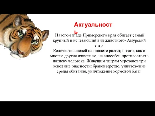 На юго-западе Приморского края обитает самый крупный и исчезающий вид животного-