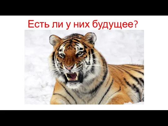 Есть ли у них будущее?