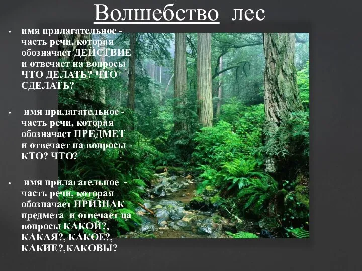 имя прилагательное -часть речи, которая обозначает ДЕЙСТВИЕ и отвечает на вопросы