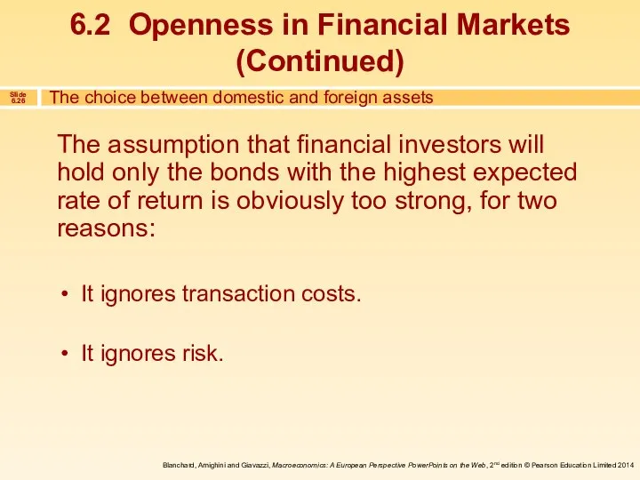 The assumption that financial investors will hold only the bonds with