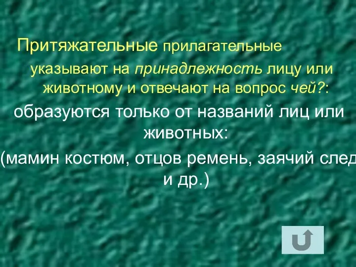 Притяжательные прилагательные указывают на принадлежность лицу или животному и отвечают на