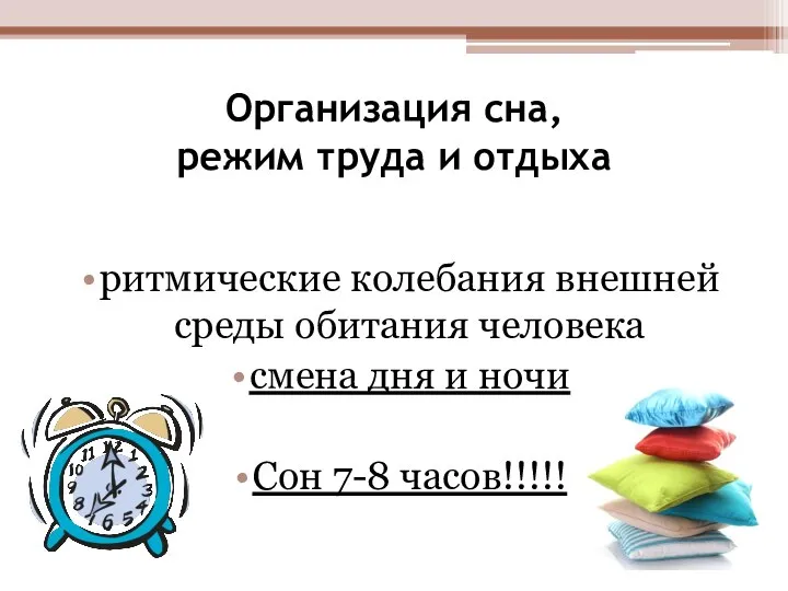 Организация сна, режим труда и отдыха ритмические колебания внешней среды обитания