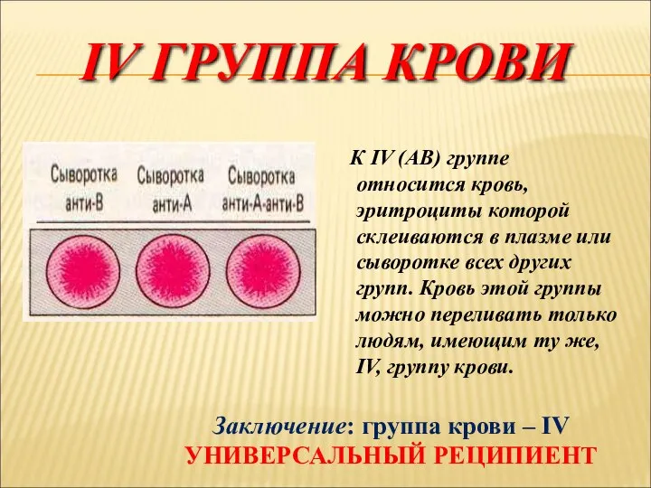 IV ГРУППА КРОВИ К IV (АВ) группе относится кровь, эритроциты которой