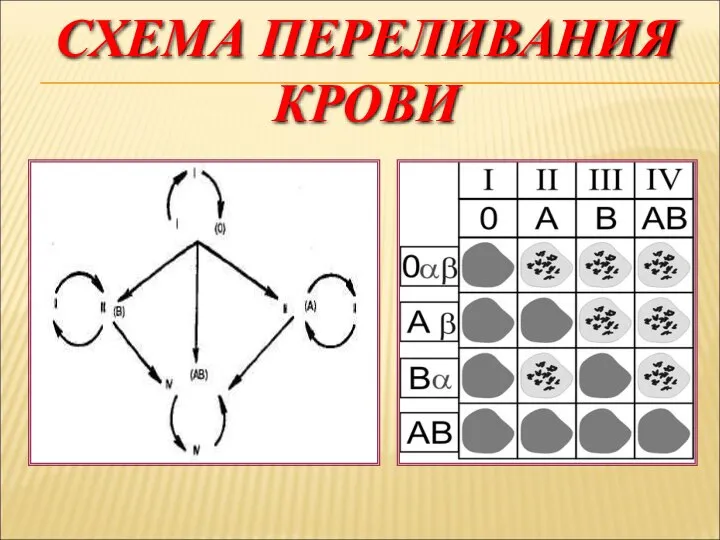 СХЕМА ПЕРЕЛИВАНИЯ КРОВИ