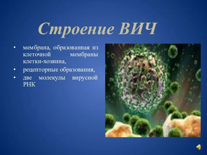 Строение ВИЧ мембрана, образованная из клеточной мембраны клетки-хозяина, рецепторные образования, две молекулы вирусной РНК