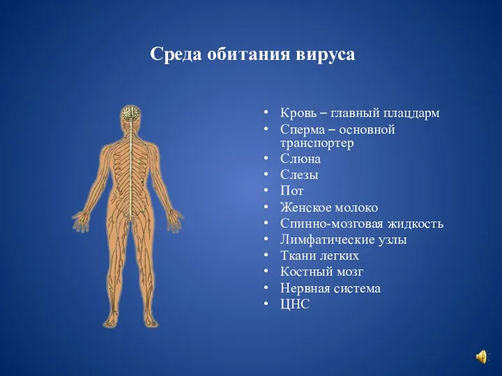 Среда обитания вируса Кровь – главный плацдарм Сперма – основной транспортер