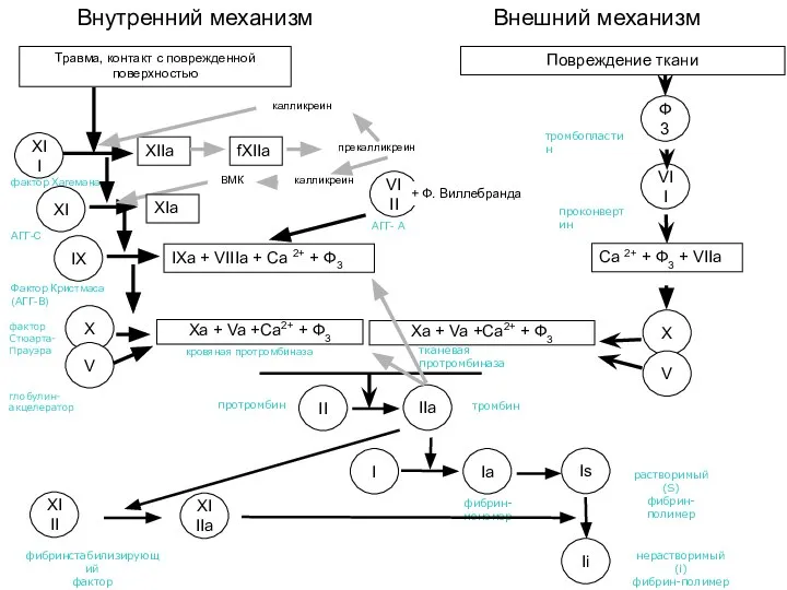 Внутренний механизм Внешний механизм