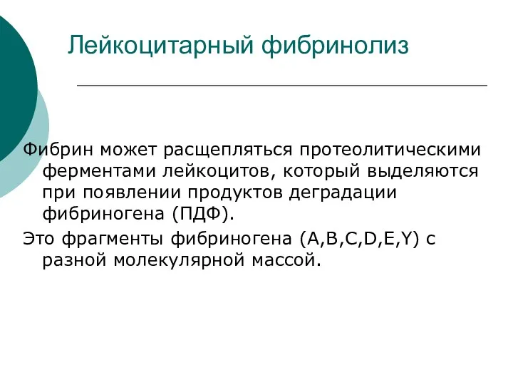 Лейкоцитарный фибринолиз Фибрин может расщепляться протеолитическими ферментами лейкоцитов, который выделяются при