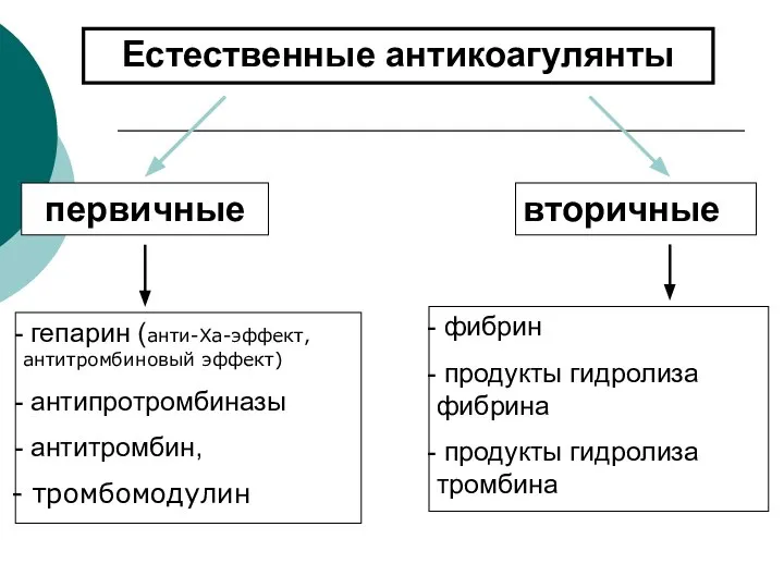 Естественные антикоагулянты первичные вторичные гепарин (анти-Ха-эффект, антитромбиновый эффект) антипротромбиназы антитромбин, тромбомодулин