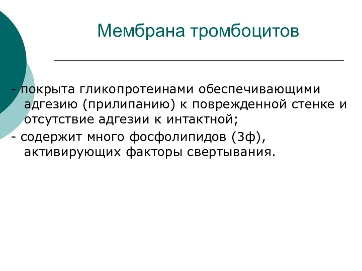 Мембрана тромбоцитов - покрыта гликопротеинами обеспечивающими адгезию (прилипанию) к поврежденной стенке