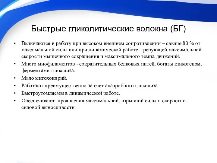 Быстрые гликолитические волокна (БГ) Включаются в работу при высоком внешнем сопротивлении