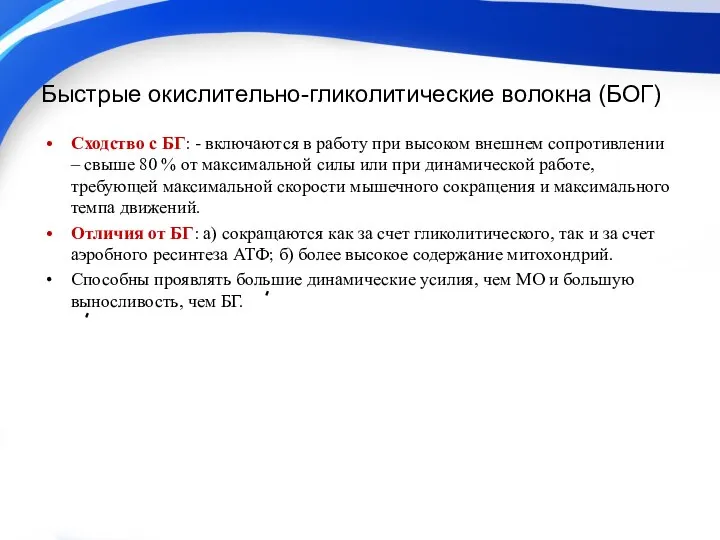 Быстрые окислительно-гликолитические волокна (БОГ) Сходство с БГ: - включаются в работу