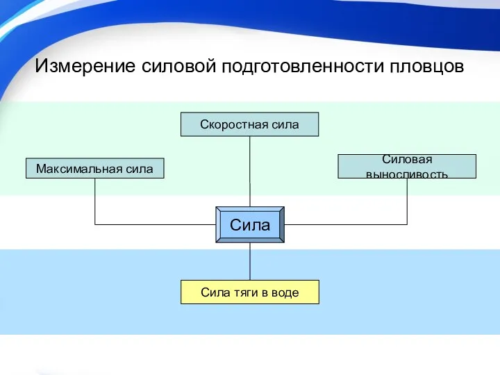 Измерение силовой подготовленности пловцов Сила Силовая выносливость Максимальная сила Скоростная сила Сила тяги в воде