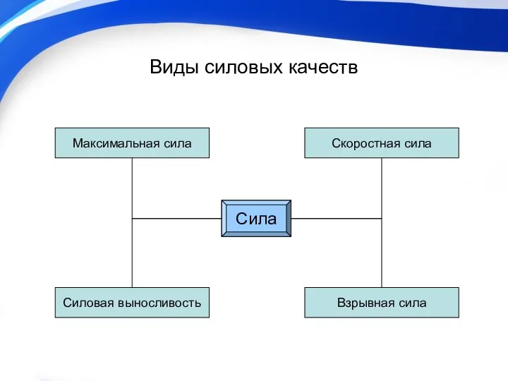 Виды силовых качеств Сила Силовая выносливость Взрывная сила Максимальная сила Скоростная сила Сила Сила