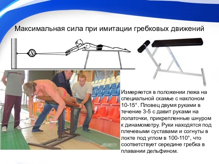 Максимальная сила при имитации гребковых движений Измеряется в положении лежа на