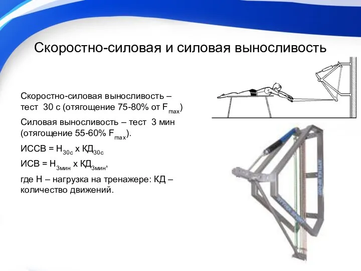 Скоростно-силовая и силовая выносливость Скоростно-силовая выносливость – тест 30 с (отягощение