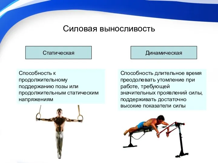 Силовая выносливость Динамическая Статическая Способность к продолжительному поддержанию позы или продолжительным