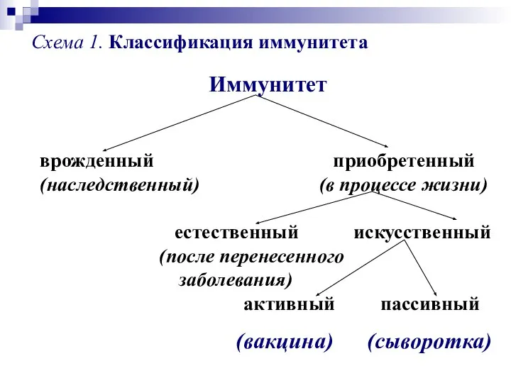 Иммунитет врожденный приобретенный (наследственный) (в процессе жизни) естественный искусственный (после перенесенного