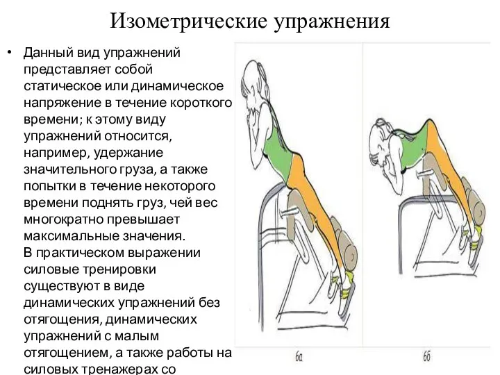 Изометрические упражнения Данный вид упражнений представляет собой статическое или динамическое напряжение