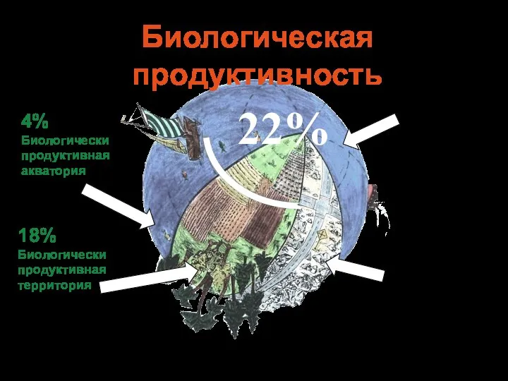 Bioproductive Segments 18% Биологически продуктивная территория 11% Пустыни, ледники, неплодородные земли